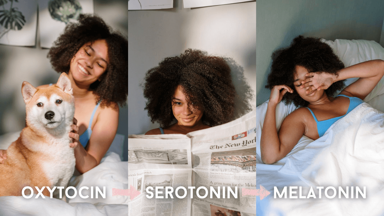 快感の科学(オキシトシン→セロトニン→メラトニン)の画像
