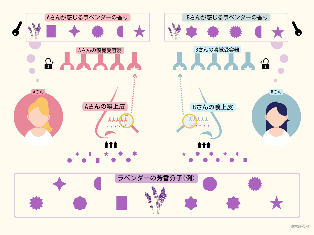 人によって香の感覚はちがう